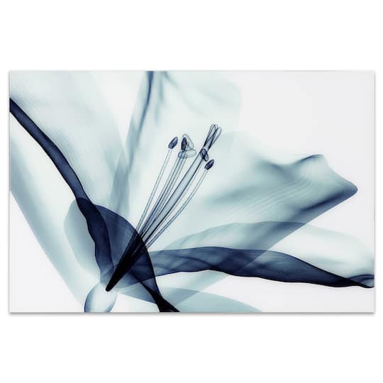 Empire Art Direct 32" x 48" 3D Amaryllis Frameless Free Floating Printed Wall Art